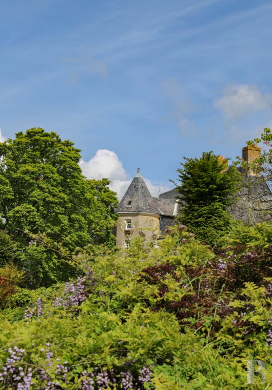 Dans la Sarthe, à l’ouest du Mans, un manoir du 15e siècle et son jardin remarquable - photo  n°61